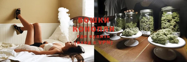 spice Новозыбков