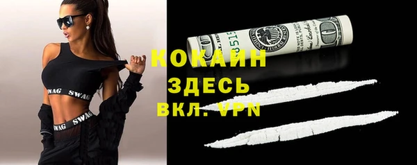 spice Новозыбков