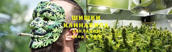 дурь Заводоуковск