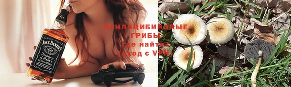 2c-b Новокубанск
