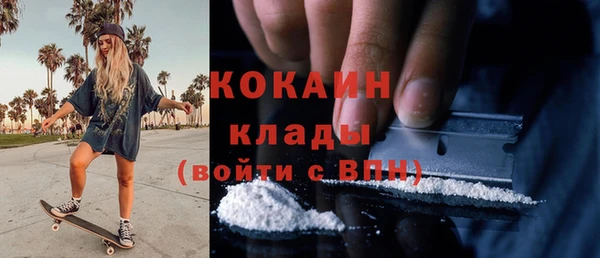 дурь Заводоуковск