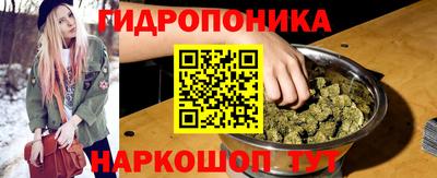 стафф Кимры
