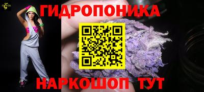 гидропоника Кингисепп