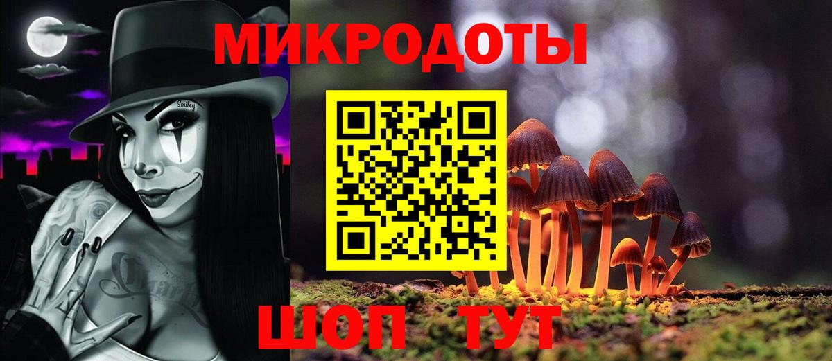 Саянск  Псилоцибиновые грибы прущие грибы  Вход с VPN 