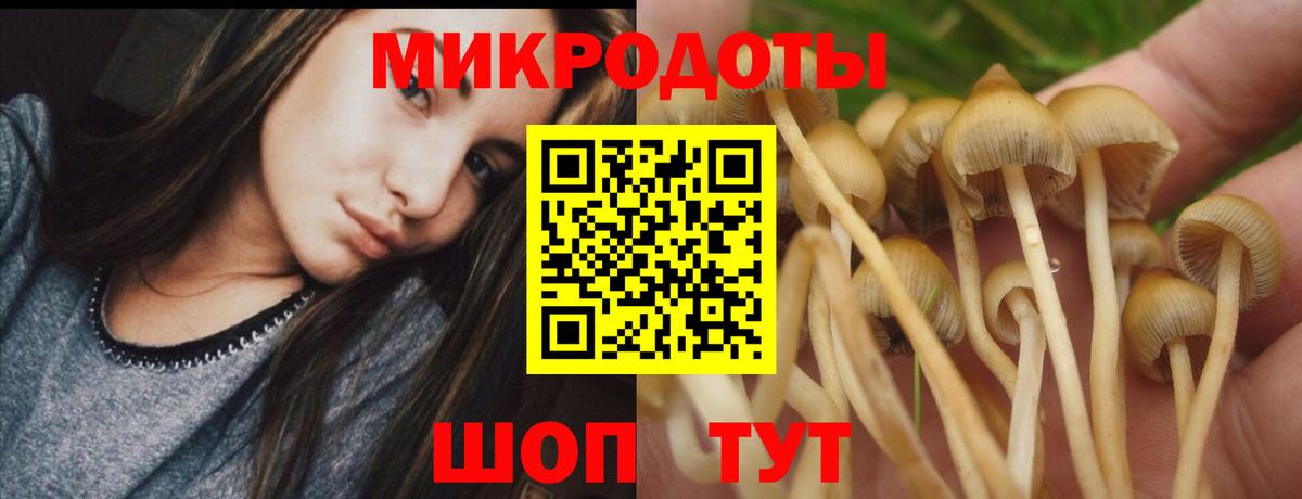 Галлюциногенные грибы ЛСД Саянск